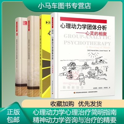 心理动力学精神动力学