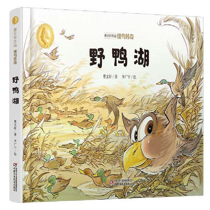 野鸭湖书曹儿童小说短篇小说中国当代小学生儿童读物书籍