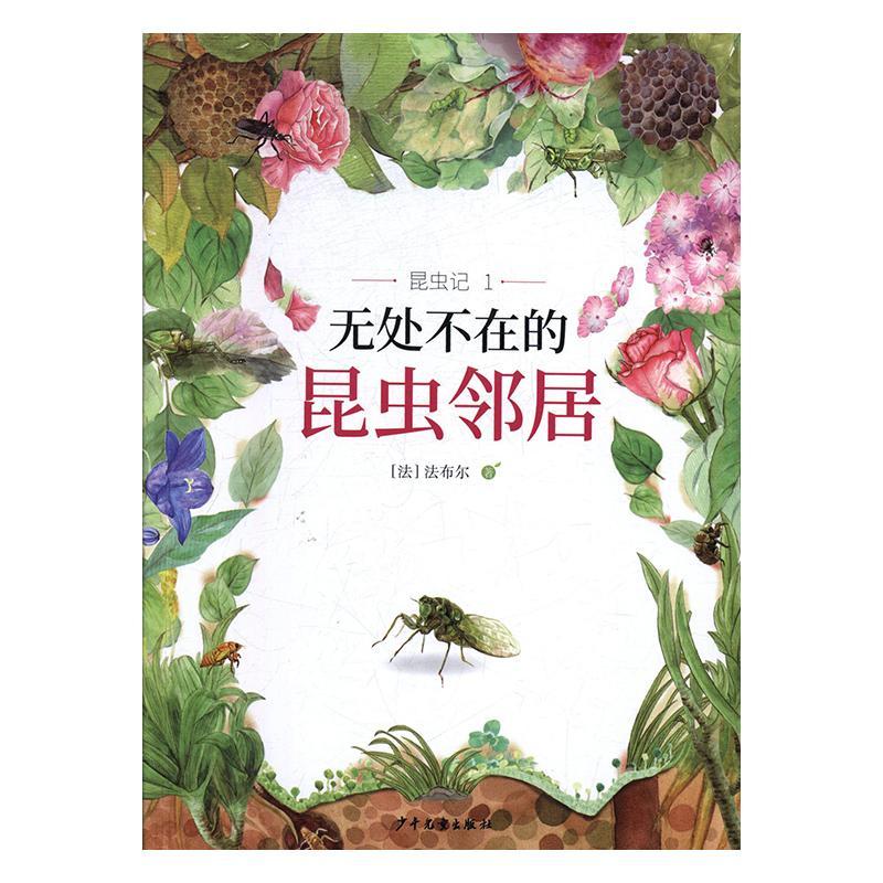 无处不在的昆虫邻居书法布尔  自然科学书籍