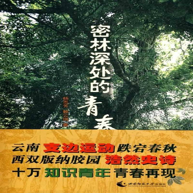 密林深处的青春书杨恩芳长篇小说中国现代 小说书籍图片