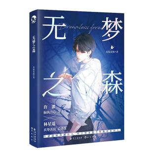 无梦之森书夜很贫瘠  小说书籍