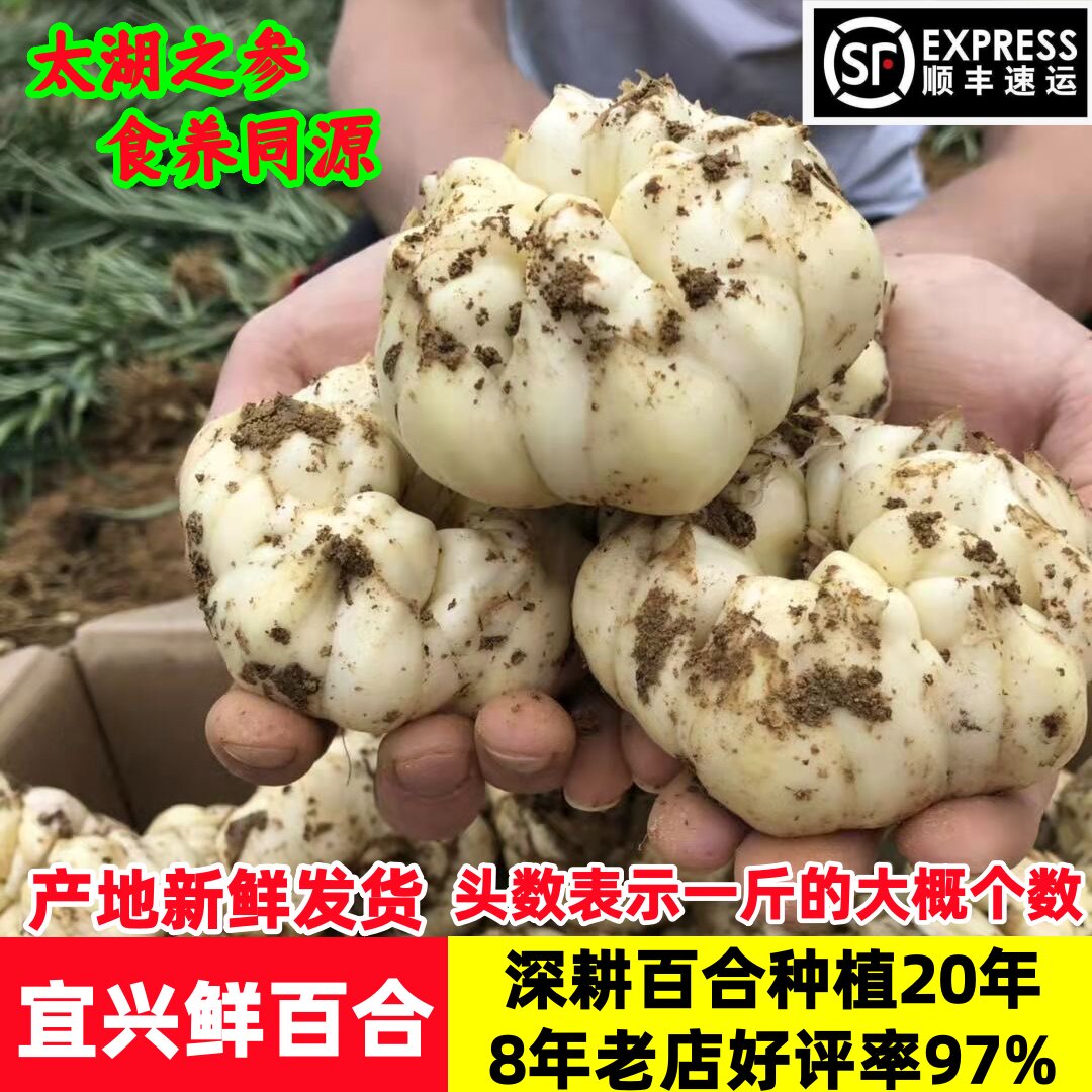 2026现挖宜兴百合农家微苦鲜土特产级食用大白合顺丰包邮