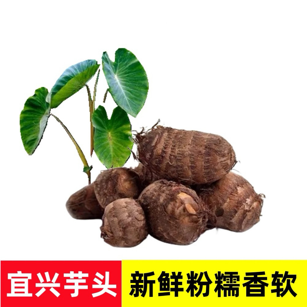 宜兴芋头农家种植软糯香甜新鲜