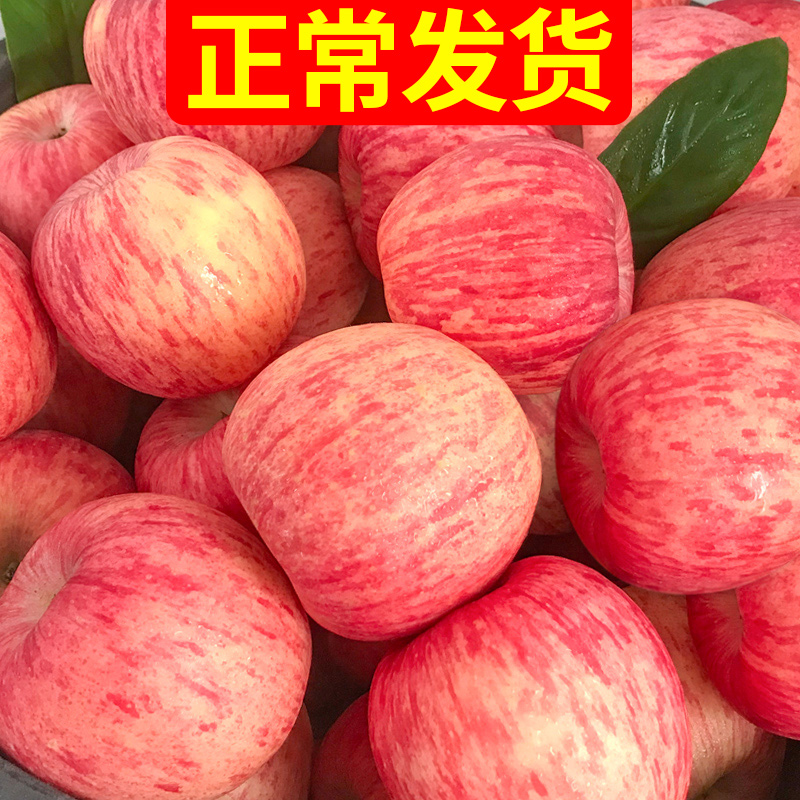 烟台红富士苹果水果新鲜脆甜吃货带箱10斤十斤当季整箱山东栖霞5