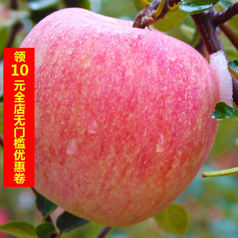 山西冰糖心红富士苹果新鲜水果当季带箱10斤应季水果丑苹果整箱