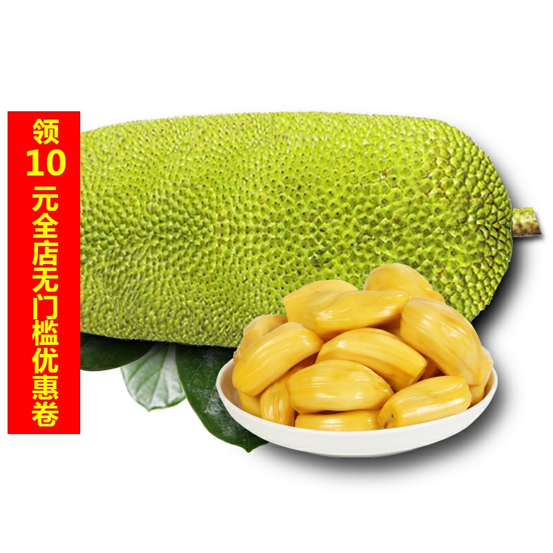 海南菠萝蜜黄肉大树木波罗蜜15-20斤 三亚新鲜应当季热带水果红40