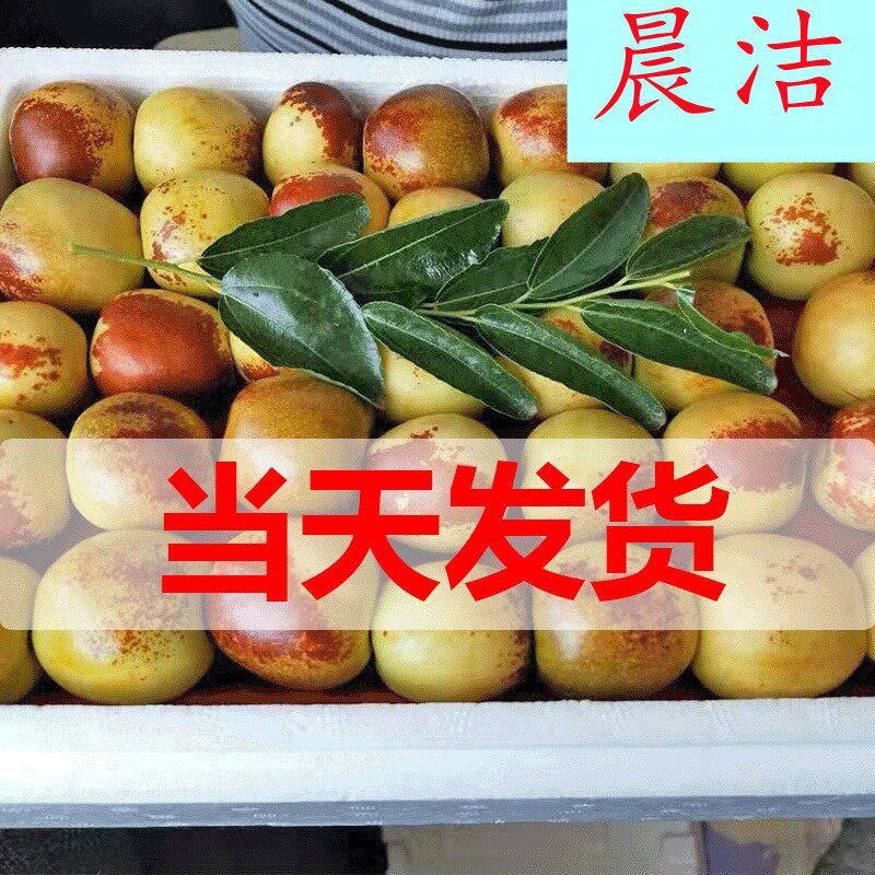 现摘沾化冬枣新鲜水果当季整箱脆甜大枣子鲜枣5斤装包邮3|ruв категории водной мясо/свежие фрукты и овощи/еда, свежие фрукты, другие - от Buy2taobao.com для оказания профессиональной услуги покупки агента Taobao