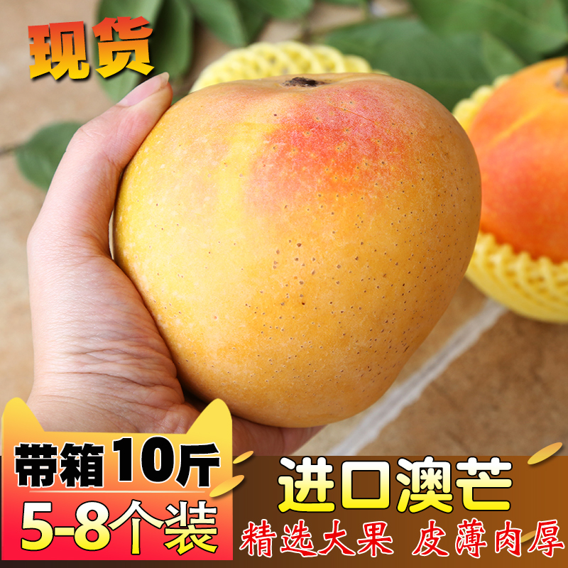 现货澳芒大芒果进口特大新鲜净重9斤大果水果超大10