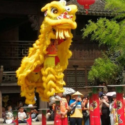 舞狮道具全套成人双全套舞龙狮子头澳洲羊毛狮觉醒标准佛山南狮