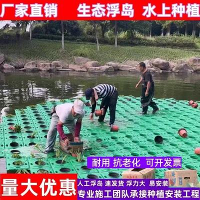 生态浮床池塘植物花卉塑料