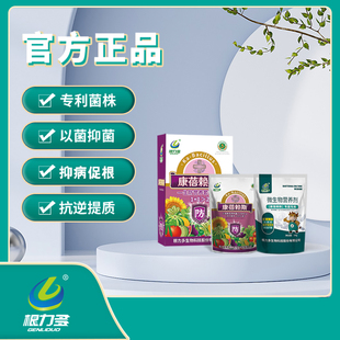 根力多康蓓赖斯生防营养套餐冲施型抑病生根安全高效