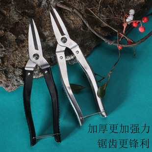 全不锈钢摘果剪刀修枝剪刀果园采摘水果专用自动回弹剪加厚盘景剪