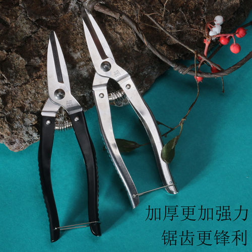 全不锈钢摘果剪刀修枝剪刀