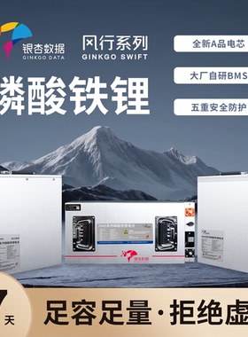 银杏电池风行64V/72V容量30Ah-100Ah两三轮电动车长续航铁锂电池