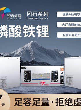 银杏电池风行64V/72V容量30Ah-100Ah两三轮电动车长续航铁锂电池