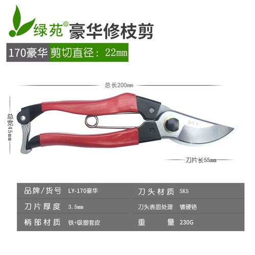 花剪园艺剪刀剪枝家用修剪树枝果树火龙果修枝剪花艺花枝粗枝剪刀