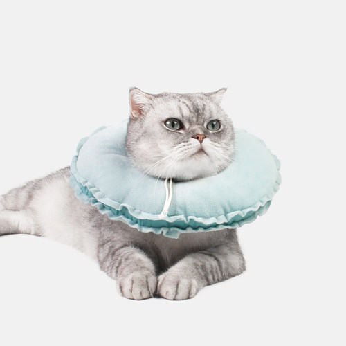 圈狗项圈宠物头套防舔用品猫咪