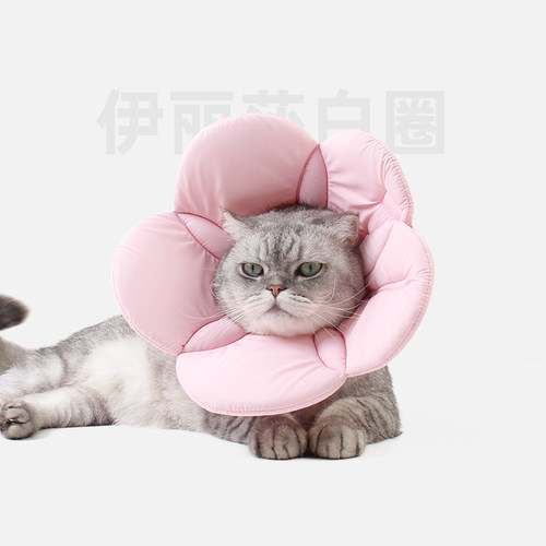 吉仔仔伊丽莎白圈猫咪防护罩防咬