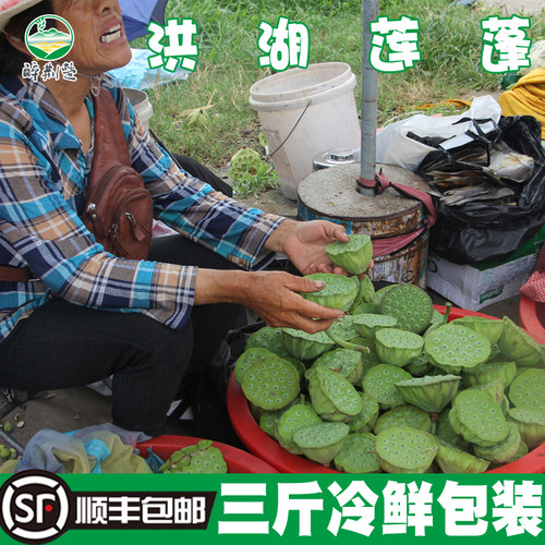 新鲜洪湖莲蓬水果特产