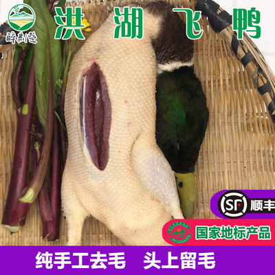 稻田绿头鸭整只新鲜手工去毛
