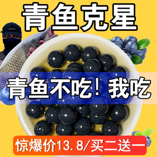 珠珠侠青鱼珠珠软饵料巨物颗粒黑坑专用钓鱼缓沉浮水大青克星鱼饵