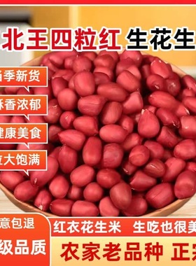 【2025新季】手工精选农家东北王红皮红衣四粒红精品小颗粒净重装