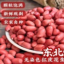 2025新货红皮花生米无壳农家自产新鲜红衣四粒红杂粮新货无壳批发