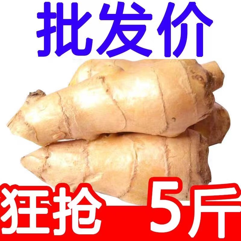 老姜生姜母姜块产地发货