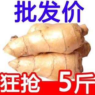 生姜老姜新鲜黄姜大姜风干姜月子姜生姜块老姜母现挖5斤包邮