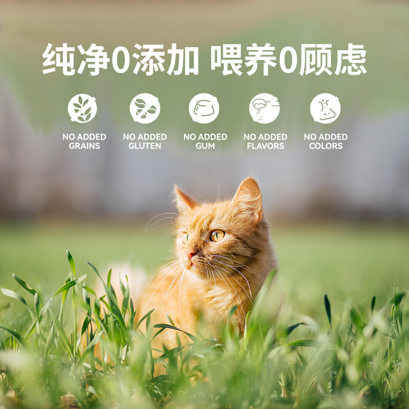 ZEAL主食罐新西兰进口0谷0胶