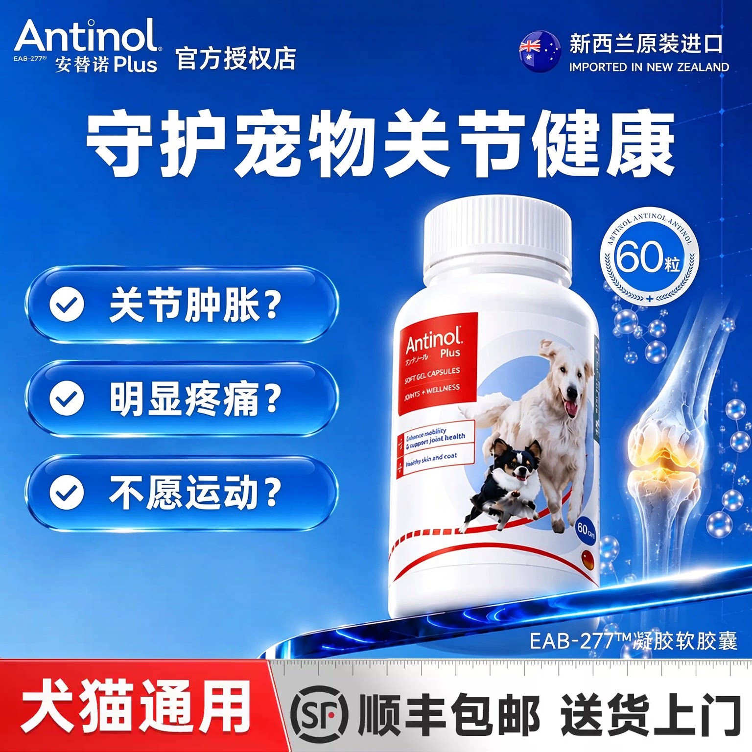 Antinol安替诺软骨素狗养护关节图片
