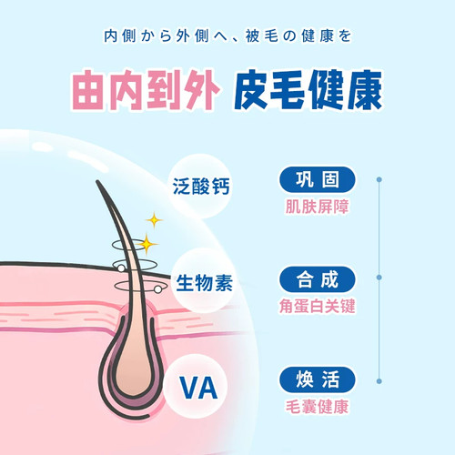 DHC猫咪多维牛磺酸粉增强免疫力