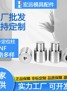 高精密圆形零度直升定位柱TPNF精定位销日标圆锁定位柱精定位组件