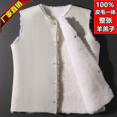 纯羊皮马夹羊毛马甲男皮毛一体秋冬季保暖加厚中老年女款背心坎肩
