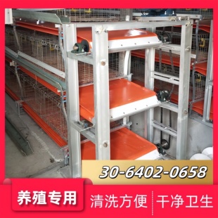 养殖舍设备全自动清粪机兔羊场粪便输送带鸡鸽子鹌鹑鹅 PVC清粪带