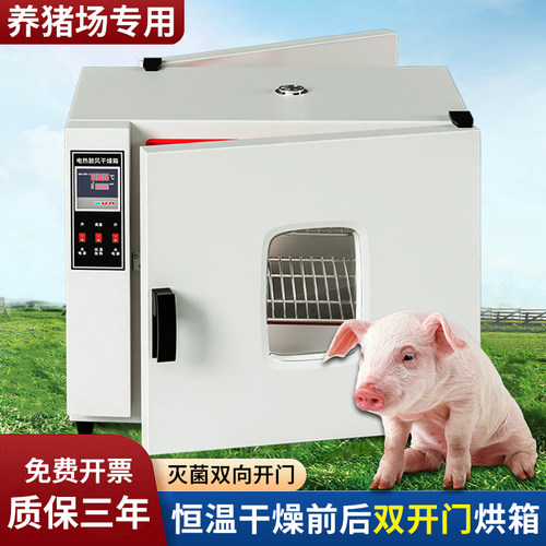 养猪场前后双门干燥箱烘箱猪场消毒专用箱恒温鼓风对开门烘干箱