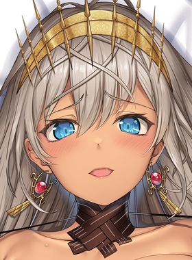 新作FGOfate4星Archer芝诺比阿等身抱枕套