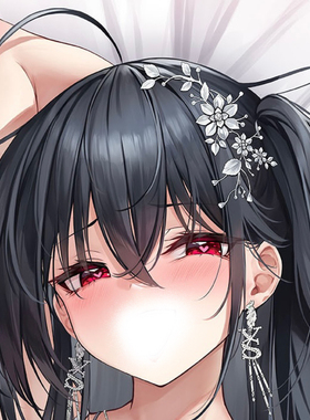 C106 日版 碧蓝航线 画师MeioN 大凤 二次元游戏周边等身抱枕套