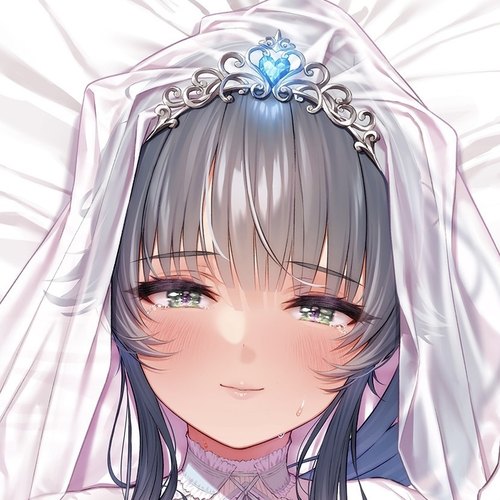 Ogre新作 魔法少女サキュティス一条涼葉 二次元等身抱枕套