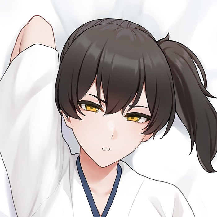 c101 舰队collection 舰娘加贺等身抱枕套