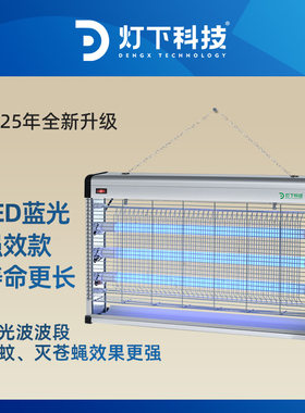 灯下商用灭蚊灯电击式器