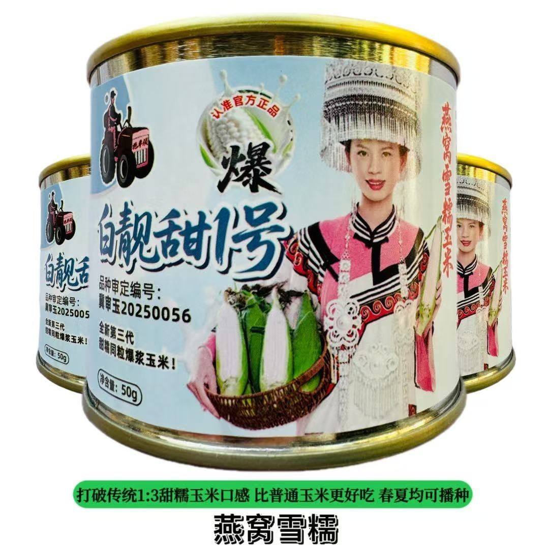 白靓甜1号燕窝雪糯玉米种子全新第三代超甜糯玉米籽好种植易管理,鲜花速递/花卉仿真/绿植园艺,家庭园艺种子,淘宝优惠券,粉丝福利购,淘宝优惠卷