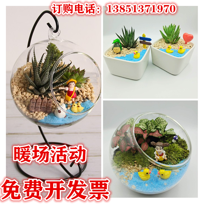 多肉微景观套装多少钱 多肉微景观套装优惠券免费领取 有条鱼 多肉微景观套装多少钱 多肉微景观套装优惠券免费领取 有条鱼