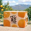 箱 橙子包装 赣南脐橙纸箱子冰糖橙子纸箱快递专用橙子箱子5 10斤装