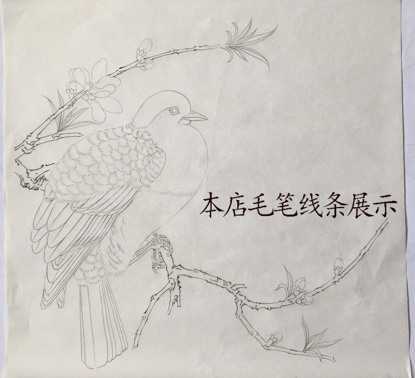 工笔画底稿 仙鹤横幅 鹤鸣九皋白描10#打印稿毛笔勾线宣纸稿