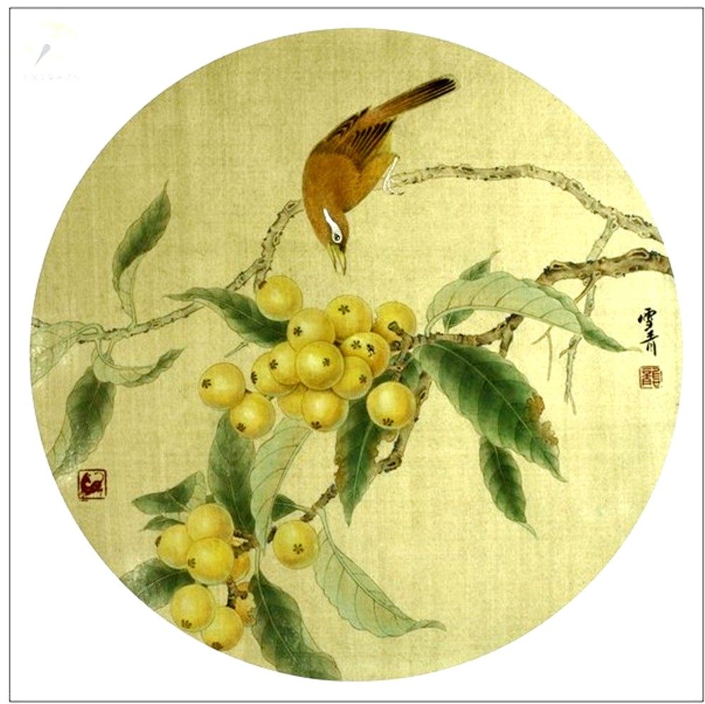 工笔国画底稿  画眉枇杷白描打印稿30#毛笔勾线宣纸稿