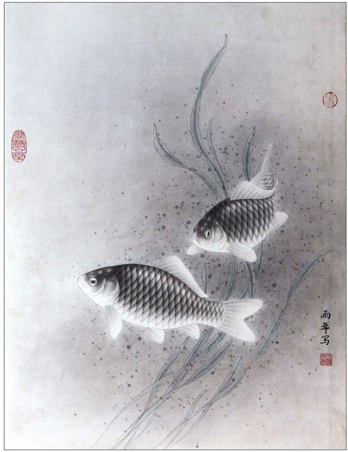 工笔画底稿  鲫鱼图小品白描12#打印稿宣纸稿有步骤图