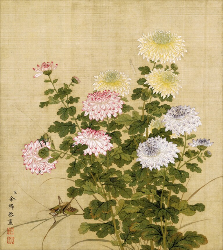 工笔画底稿 清 余穉秋菊花白描12-9#打印稿 毛笔勾线宣纸稿