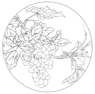 工笔画底稿葡萄蝈蝈团扇白描打印稿毛笔勾线宣纸稿3# 本店拷贝