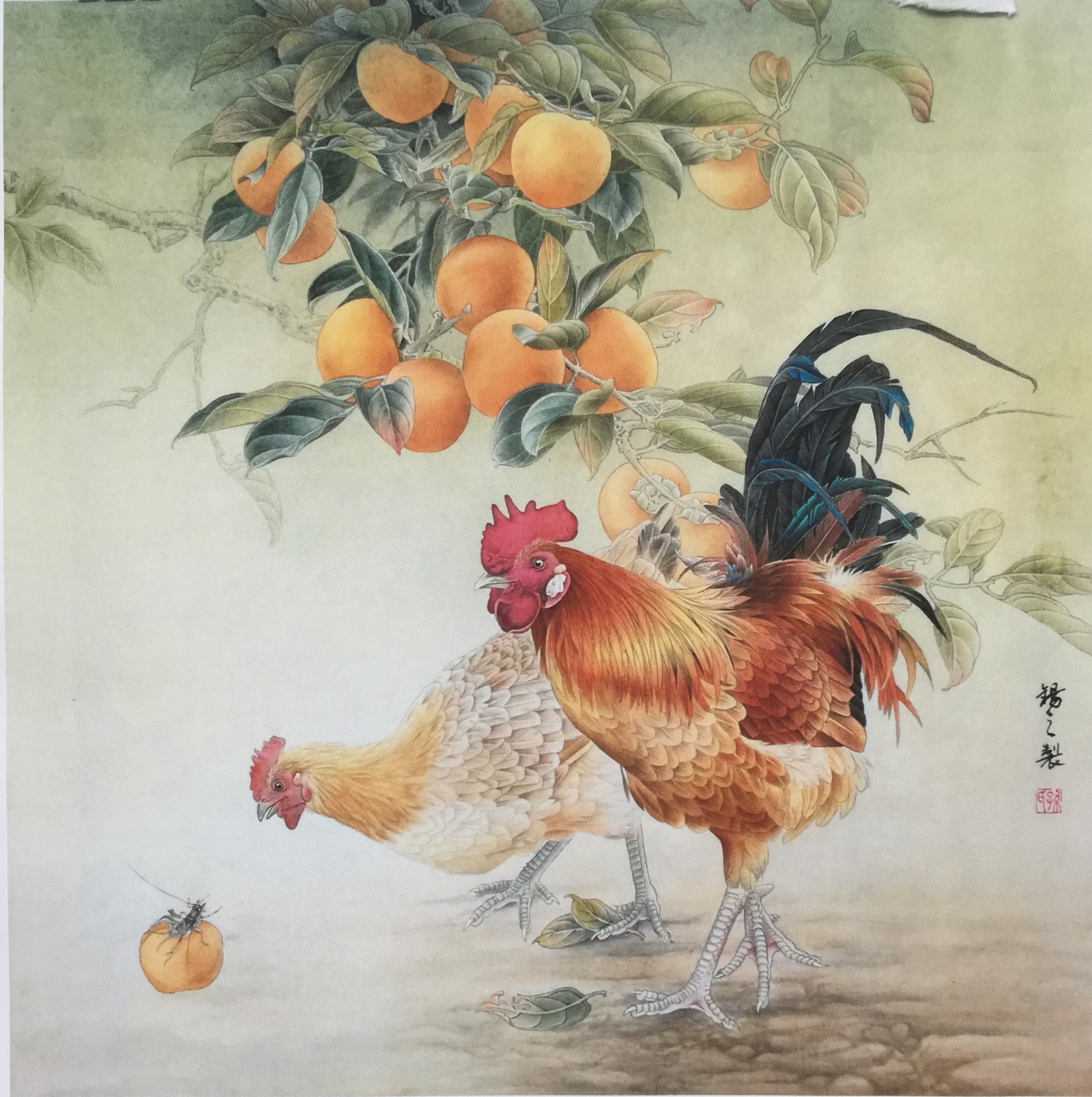 工笔画底稿 工笔 鸡 公鸡柿子斗方白描26#打印稿宣纸稿学习临摹